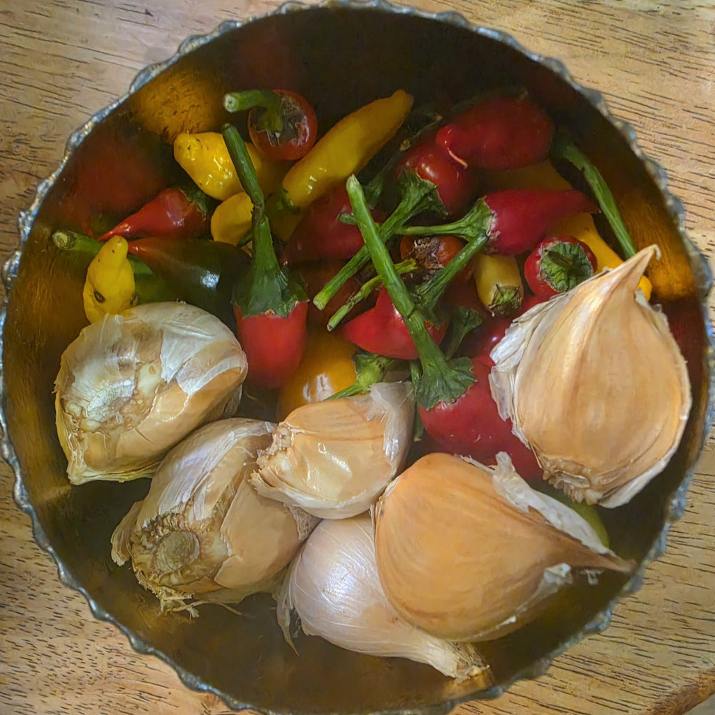 Fresh chillies and garlic from our garden