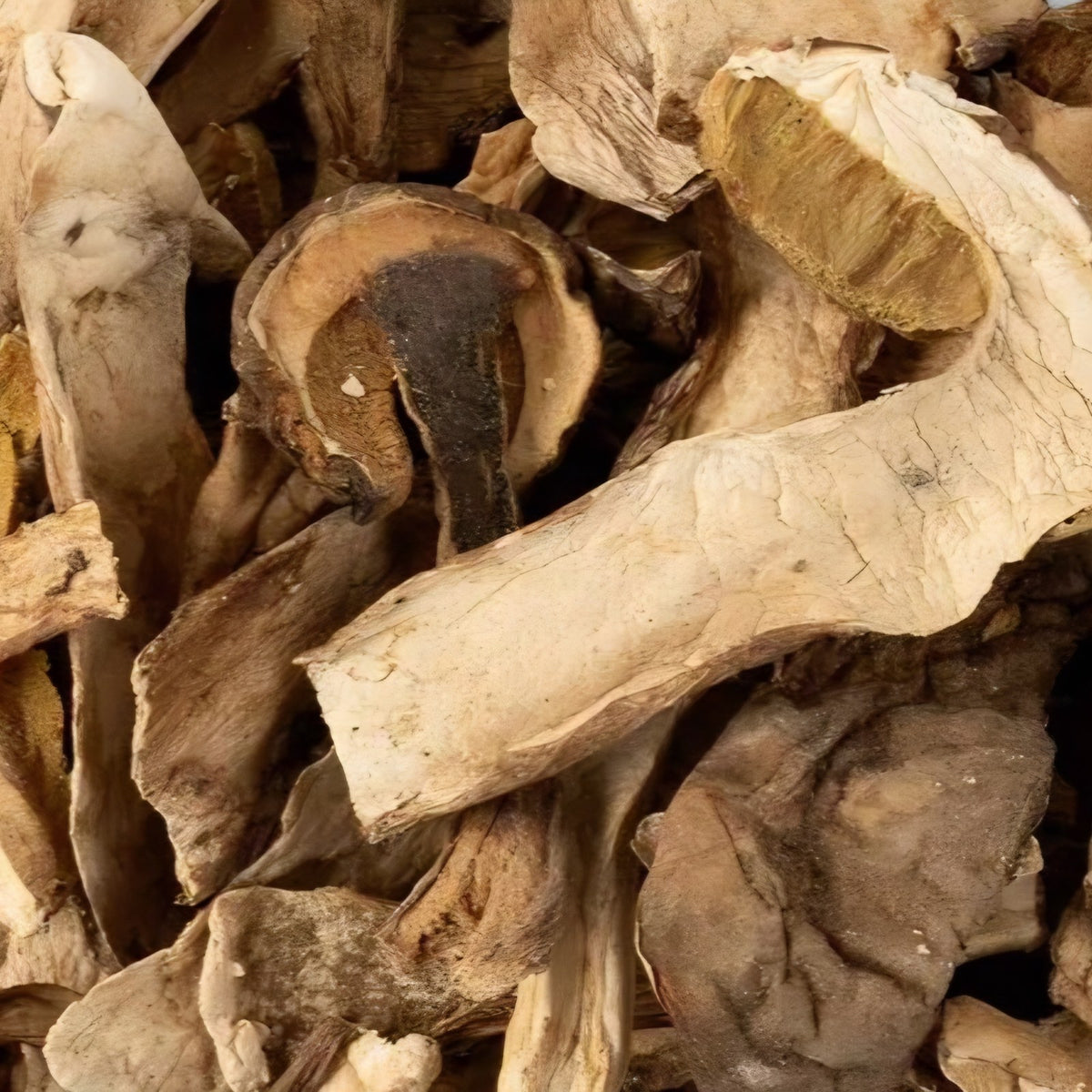 Dried porcini mushrooms