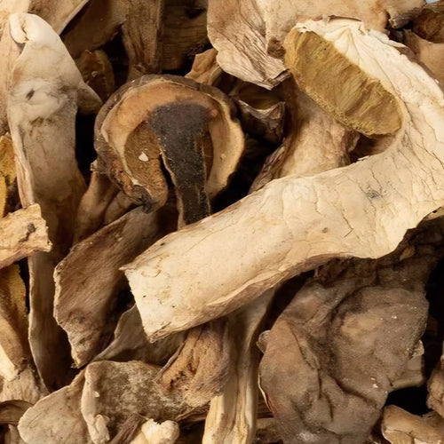 Dried porcini mushrooms