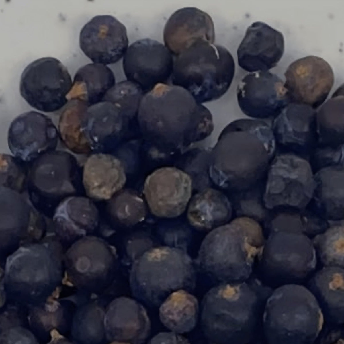 Dried juniper berries