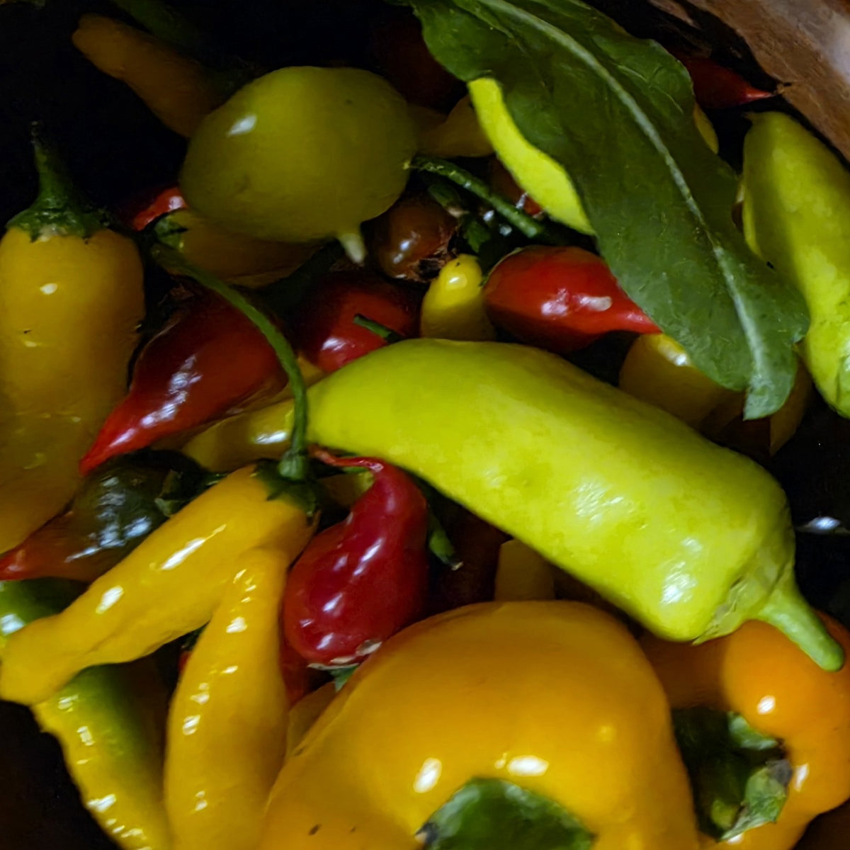 A bowl of mixed chillies from our garden